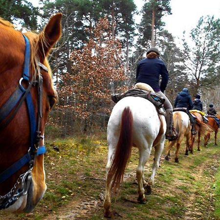 Les Gites Du Val Valprivas المظهر الخارجي الصورة
